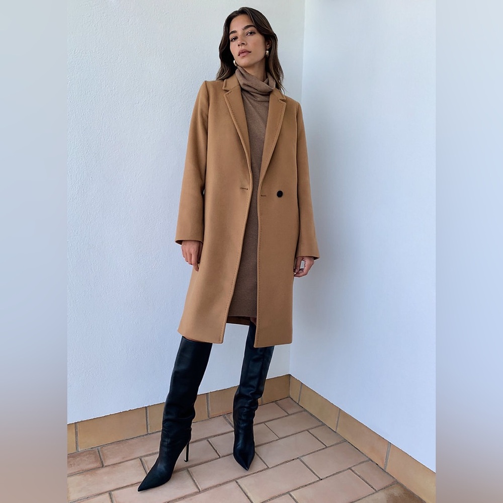 Aritzia Babaton Atelier Steadman Coat in Saville